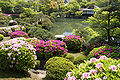 Azaleas at Soraku-en Garden