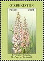 Uzbek postage stamp depicting E. hilariae (one of series devoted to the wildflowers of Uzbekistan)