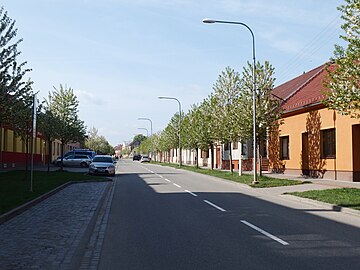 Rue Palackého.