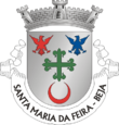 Vlag van Santa Maria da Feira