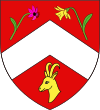 Blason de Dingy-en-Vuache