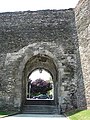 Porta da Praza de Ferrol ou Porta Falsa.