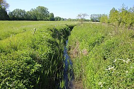 Overstromingsgebied Moortsele