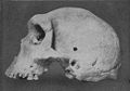 Image 5Skull of Broken Hill Man discovered in present-day Kabwe. (from History of Zambia)