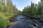 Lägstaån där den tangerar södra sidan av Trolltjärns naturreservat. Vy mot öster.