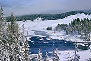 Yellowstone in de winter