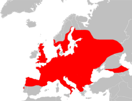 Az európai lábatlangyík-fajok elterjedése. Az új rendszerezés miatt az egyes fajok pontos elterjedési területei még vitatottak.