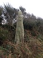 Le menhir de Calès.