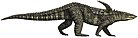 Desmatosuchus spurensis