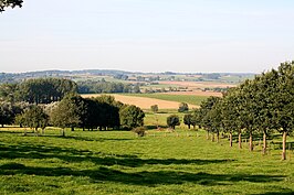 Vlaamse Ardennenlandschap in Maarkedal