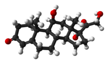 Cortisolum