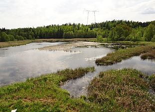 Dalkarlssjön ligger inom skjutfältet