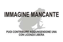 Immagine di Doleserpeton annectens mancante