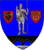 Coat of arms of Caraș-Severin County