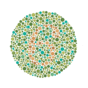 Ishihara Plate No. 13 (6)