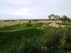 Ruines du château fort de Leal.