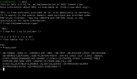 Скриншот программы SBCL