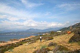 The Gulf of Liscia, seen from Calcatoggio