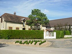 Skyline of Planty