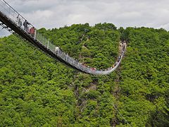 The Geierlay crossing a valley