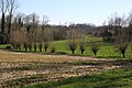 Vlaamse Ardennenlandschap in Everbeek