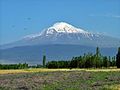 Ararat