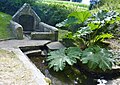 Gouesnach : la fontaine de Saint-Cadou.