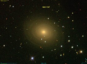 Image illustrative de l’article NGC 1167