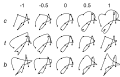 Kochanek-Bartels spline