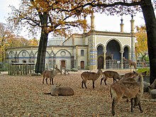 Giraffenhaus Zoo Berlin 2.jpg