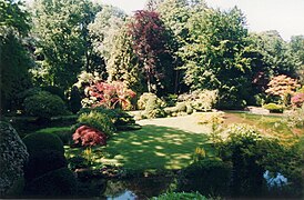 The Japanese garden.