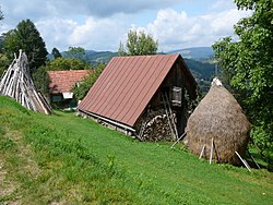 Galbena, falurészlet