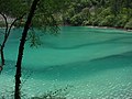 The colorful waters of Panda Lake in Jiuzhaigou Valley.