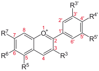 Structure of anthocyanins, the blue pigments in blueberries.[52]