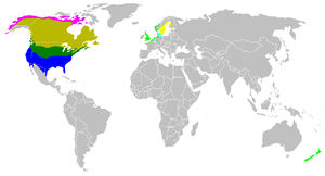 Vivejoj de la kanada ansero flava = somera tereno (kovejo), blua = vintra tereno