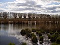 Oude IJssel near Empe