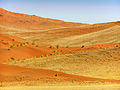 Sossusvlei