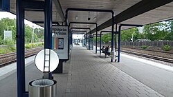 Het perron gezien uit de stationshal.