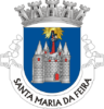 Coat of arms of Santa Maria da Feira