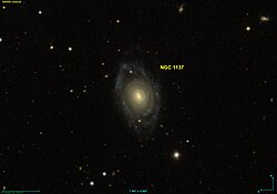 NGC 1137