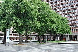 Regjeringsparken lindealle mot Høyblokken.jpg