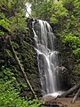 Berry Creek Falls