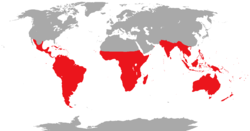 Área de distribución dos psitaciformes (vermello)