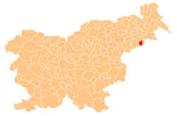 Location of the Municipality of Cirkulane in Slovenia