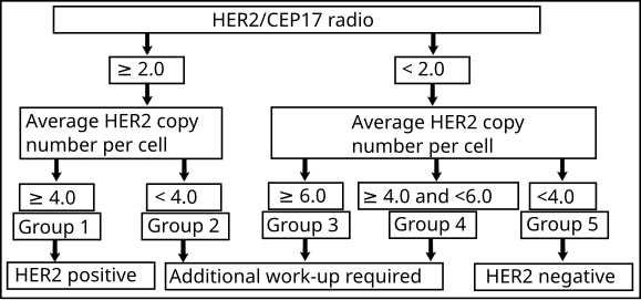 Algorithm for the evaluation of HER2 on fluorescence in situ hybridization (FISH).[48]