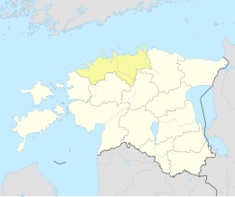 Riidamäe (Eesti)