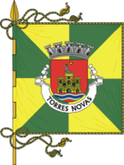 Flagge von Torres Novas