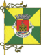 Flagge des Concelhos Torres Novas