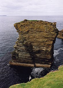 A brown stack composed of a sedimentary rocks sits in dark blue seas close to a grassy island. A white bird glides between the two.