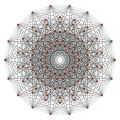 Gosset 2 31 polytope